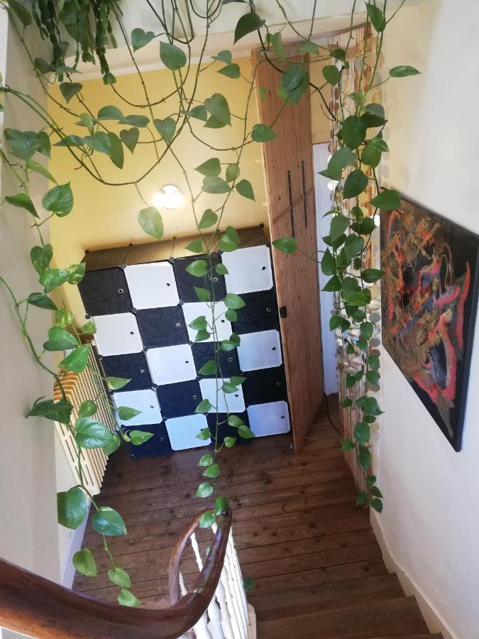 La Chambre D'Hote De Christelle Appartement Cherbourg-en-Cotentin Buitenkant foto